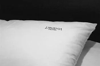 Liburnia Cieszyn (Silesia)